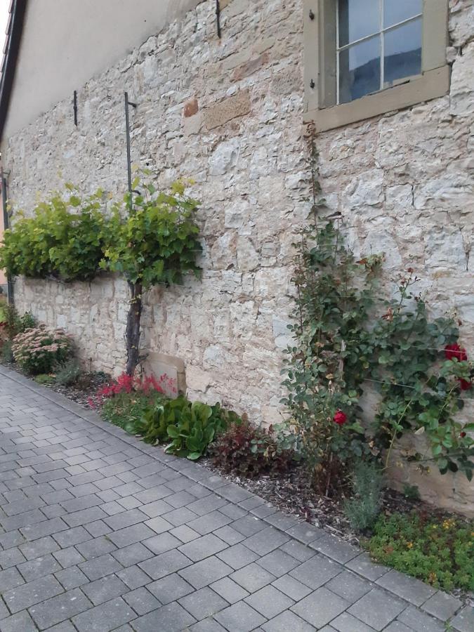Fewo Koerner Seinsheim Im Weinparadies Luaran gambar